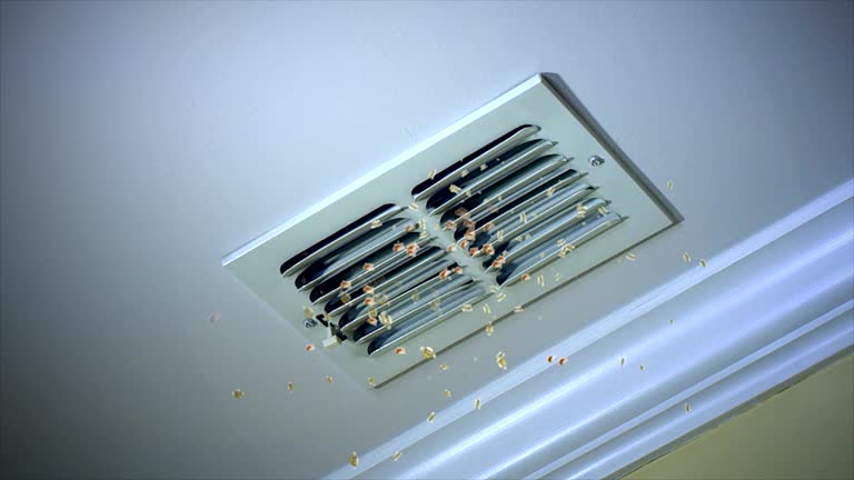 Best HVAC Duct Inspection Services  in North Webster, IN