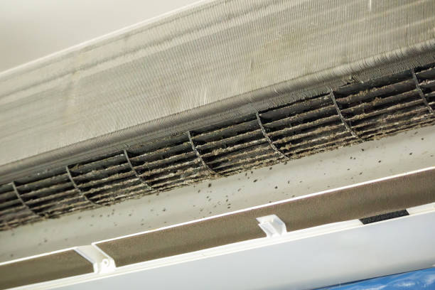 Best Commercial Air Duct Cleaning  in North Webster, IN
